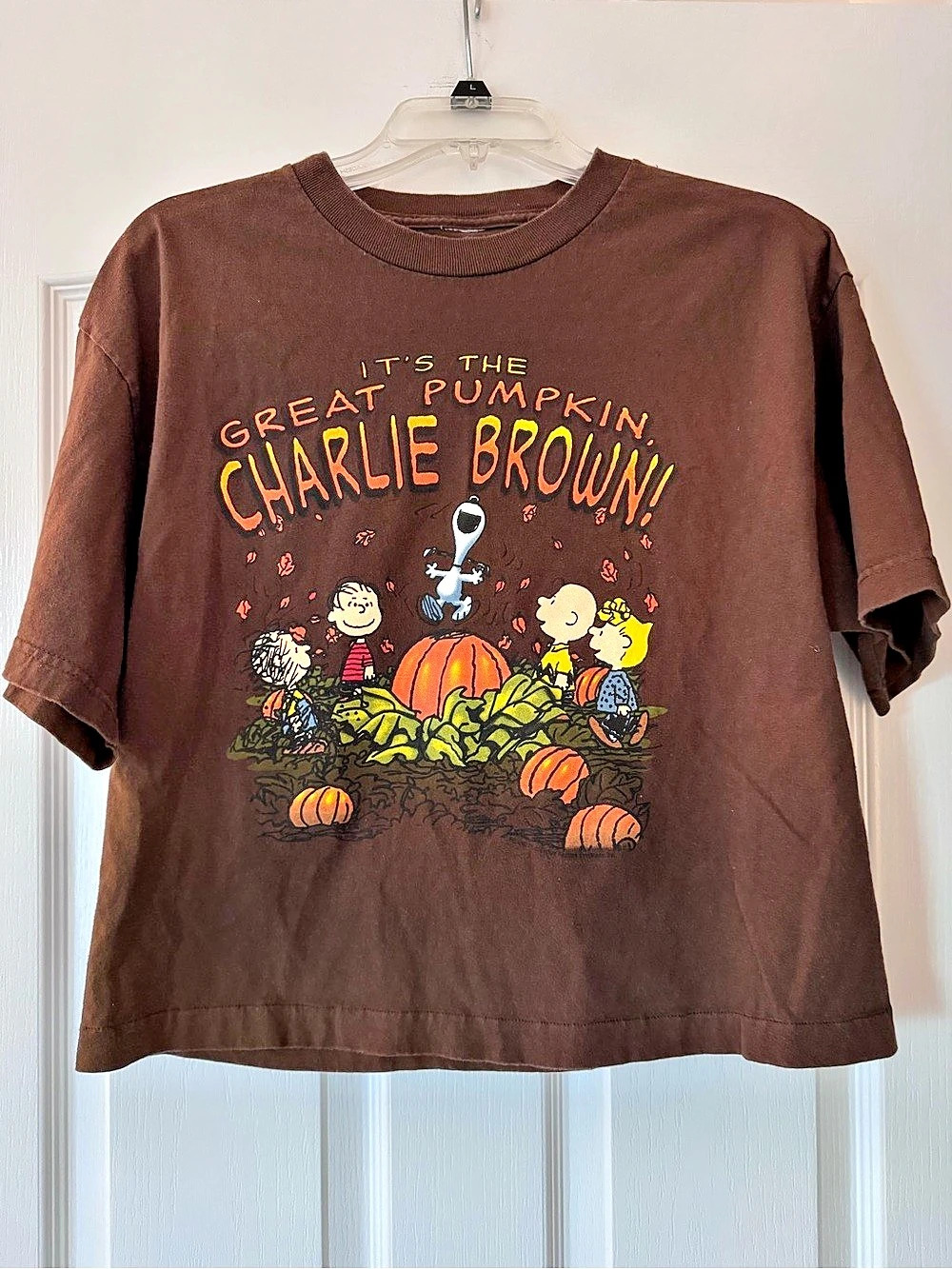 Peanuts Great Pumpkin Charlie Brown Chocolate Graphic Tee Medium Fall Halloween